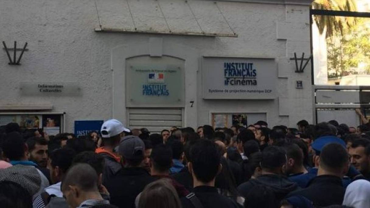 Bousculade de candidats devant l'Institut français d'Alger.
