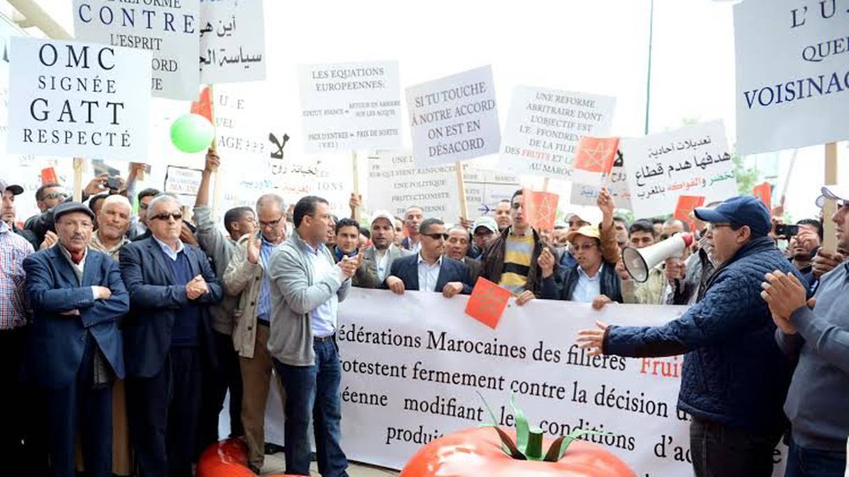 Les opérateurs marocains fustigent la mesure de l'UE relative aux prix d'accès des produits agricoles sur le marché de l'Union.
