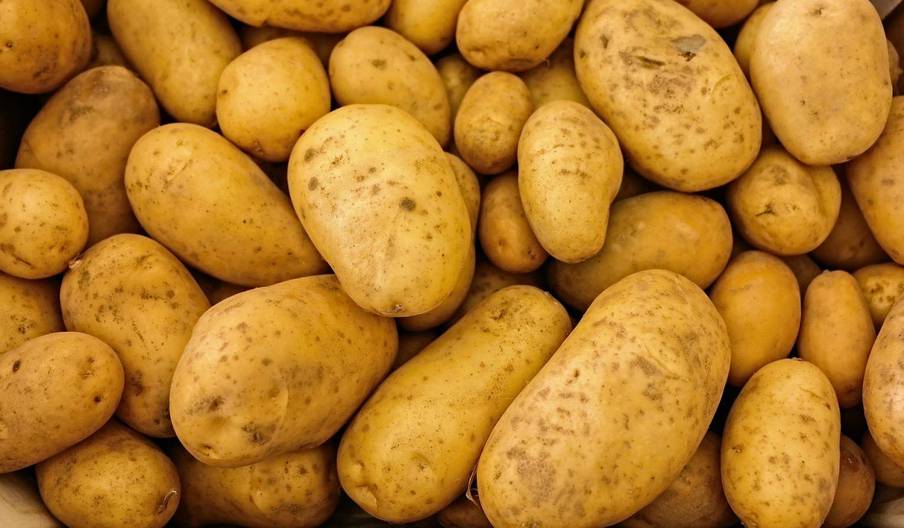 Le Maroc a importé plus de 5.000 tonnes de pommes de terre en 2023