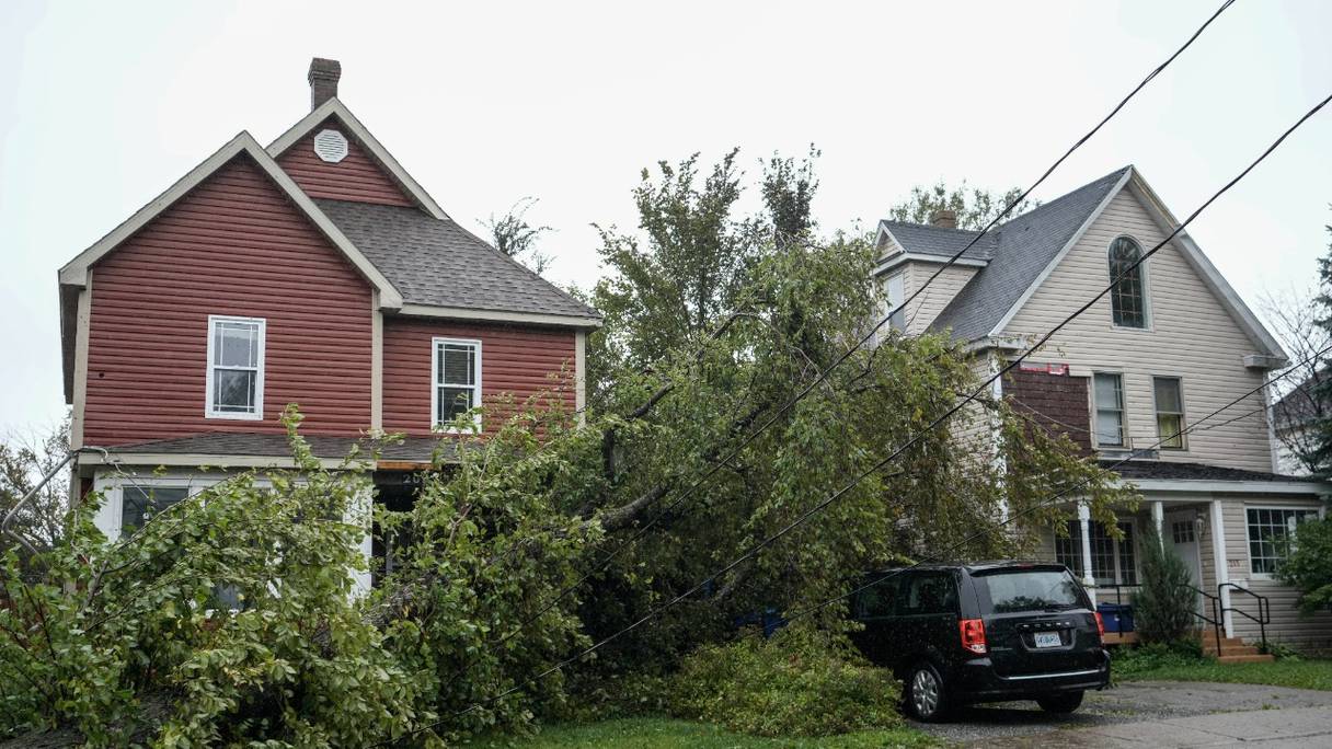 Arbre arraché, effondré sur des lignes électriques et une maison, après le passage de la tempête post-tropicale Fiona le 24 septembre 2022 à Sydney, en Nouvelle-Ecosse, sur l'île du Cap-Breton au Canada.
