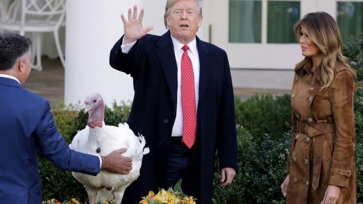 Donald Trump a épargné Bread et Butter, deux dindes, à l'occasion de la Thanksgiving.
