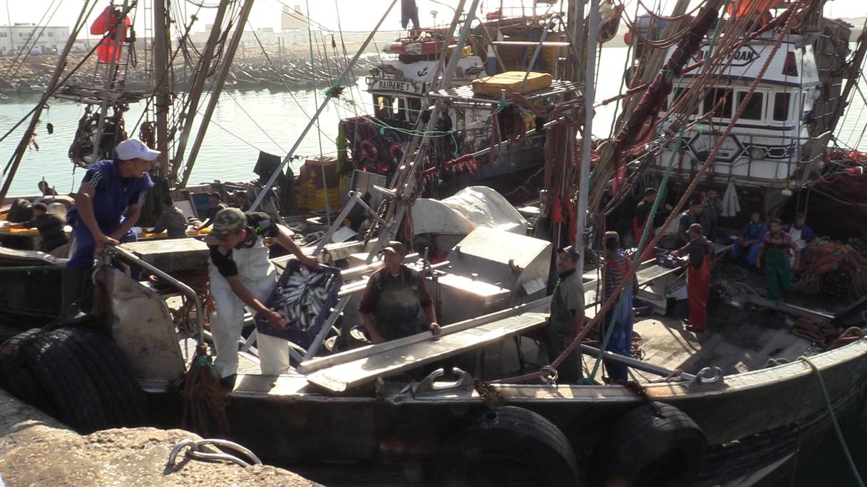 Débarquement au port de Tarfaya de caisses de poisson, pêché dans les eaux territoriales marocaines. 
