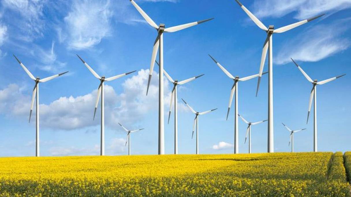 Des éoliennes pour la production d'énergie renouvelable.
