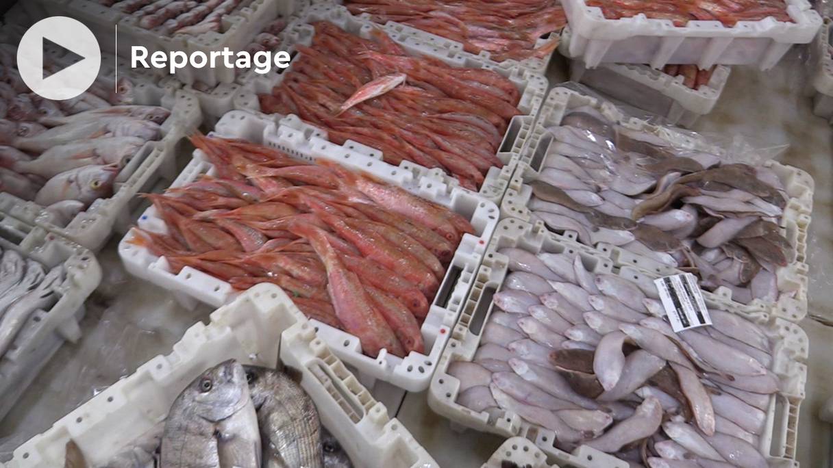 Un étal du plus grand marché aux poissons de Laâyoune.
