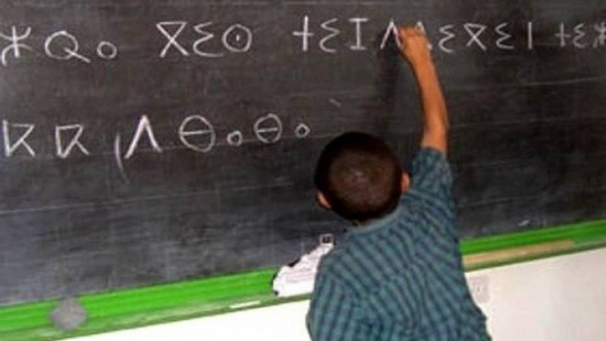 L'enseignement de l'amazigh a fait son entrée à l'école primaire en 2004.
