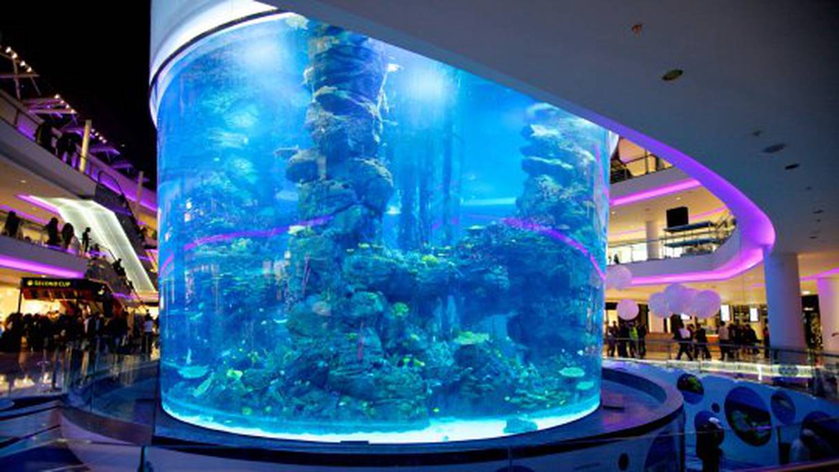 Aquarium du Morocco Mall

