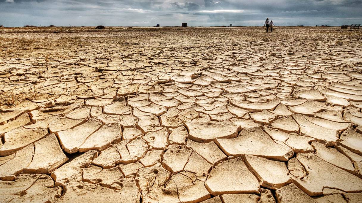 La sécheresse, une des manifestations du changement climatique.
