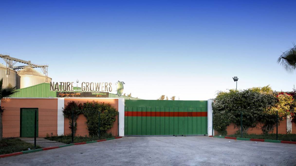 L'entrée de l'usine Nature Growers dans la zone industrielle d'Aït Melloul.
