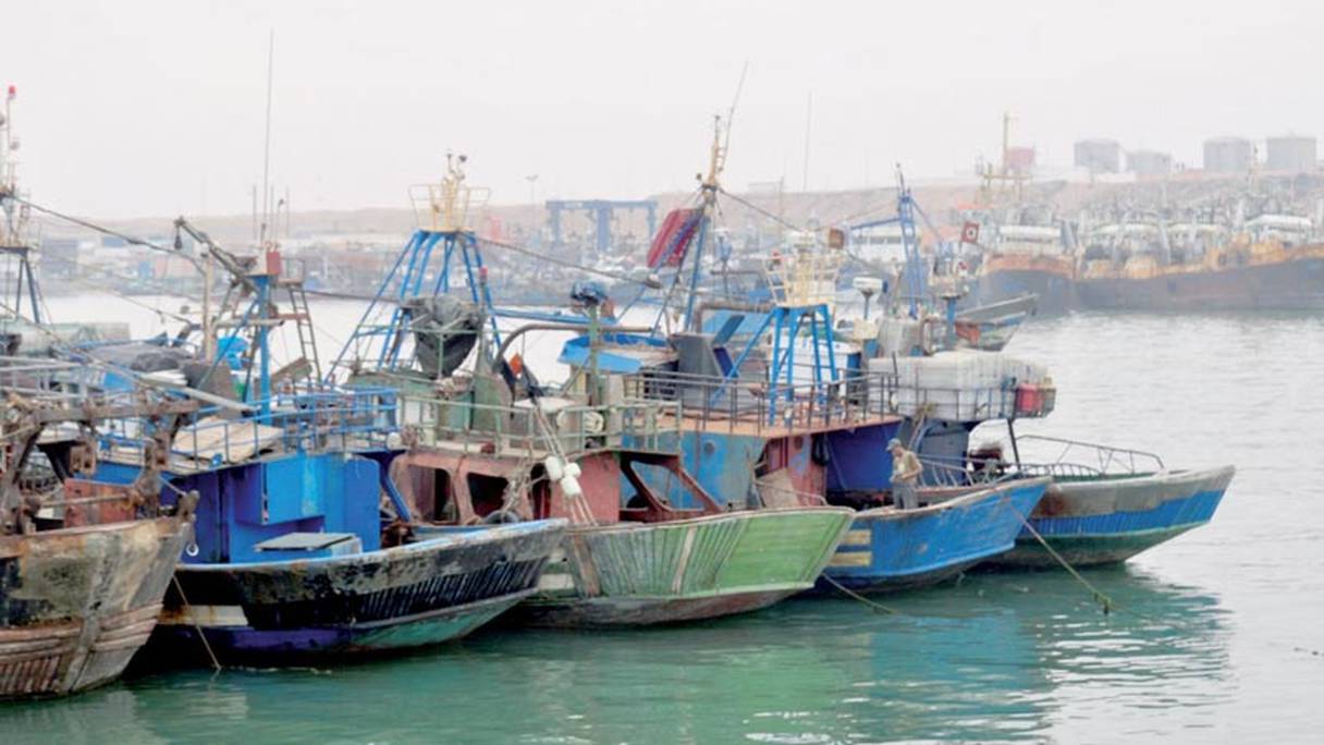 Bateaux de pêche hauturière dans le port de Tan-Tan, région de Guelmim-Oued Noun. 

