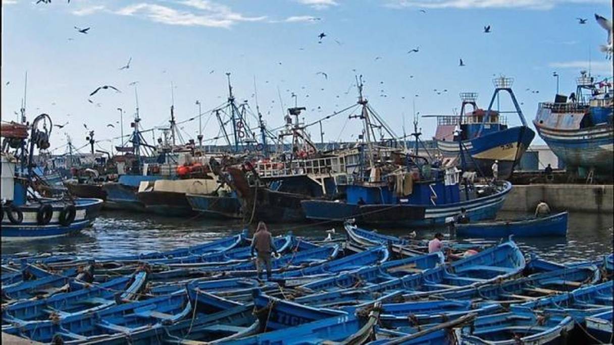 Le port de pêche d'Essaouira. 
