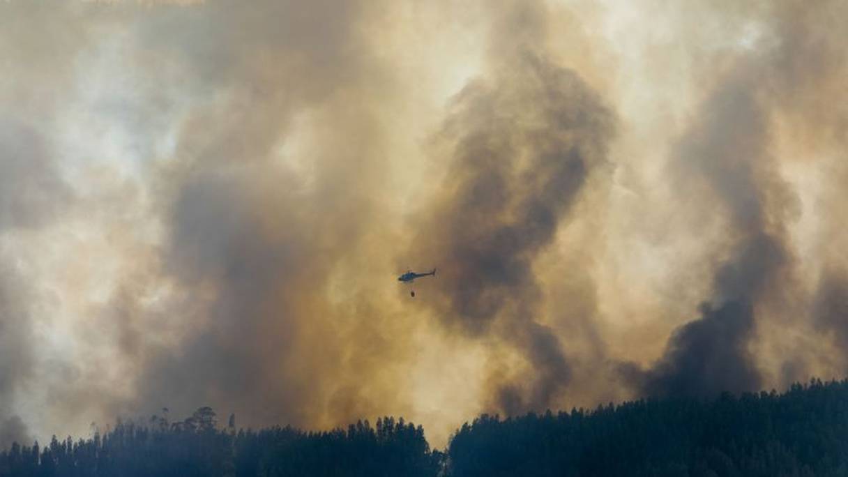 La lutte contre les incendies de forêts se poursuit inlassablement au Portugal, épaulé par de nombreux pays amis dont le Maroc.
