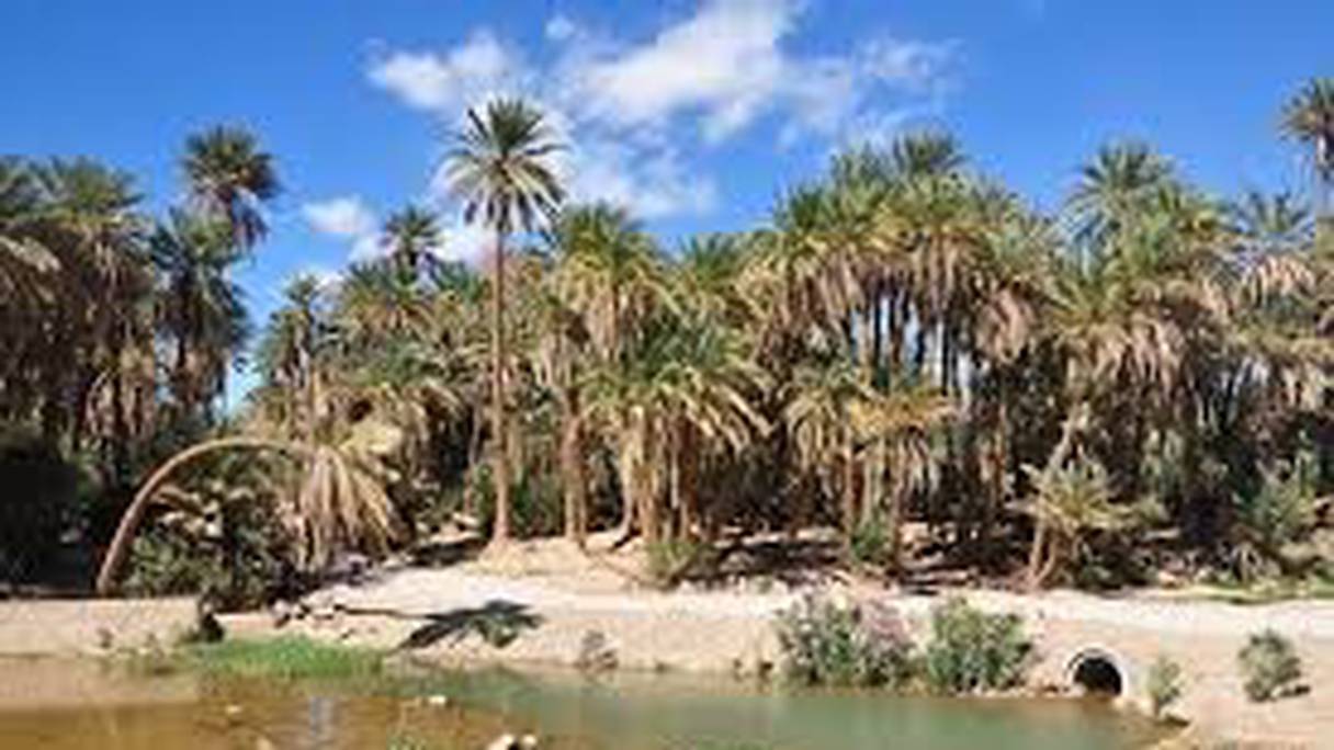 Oasis d'Akka. A 60 km de Tata, avec un ancestral système d'irrigation permettant de répartir les rares ressources hydriques, les habitants cultivent des parcelles d’orge ou de blé, du henné, des câpres, des légumes, des fruits... Le tout, à l'ombre des palmiers. 
