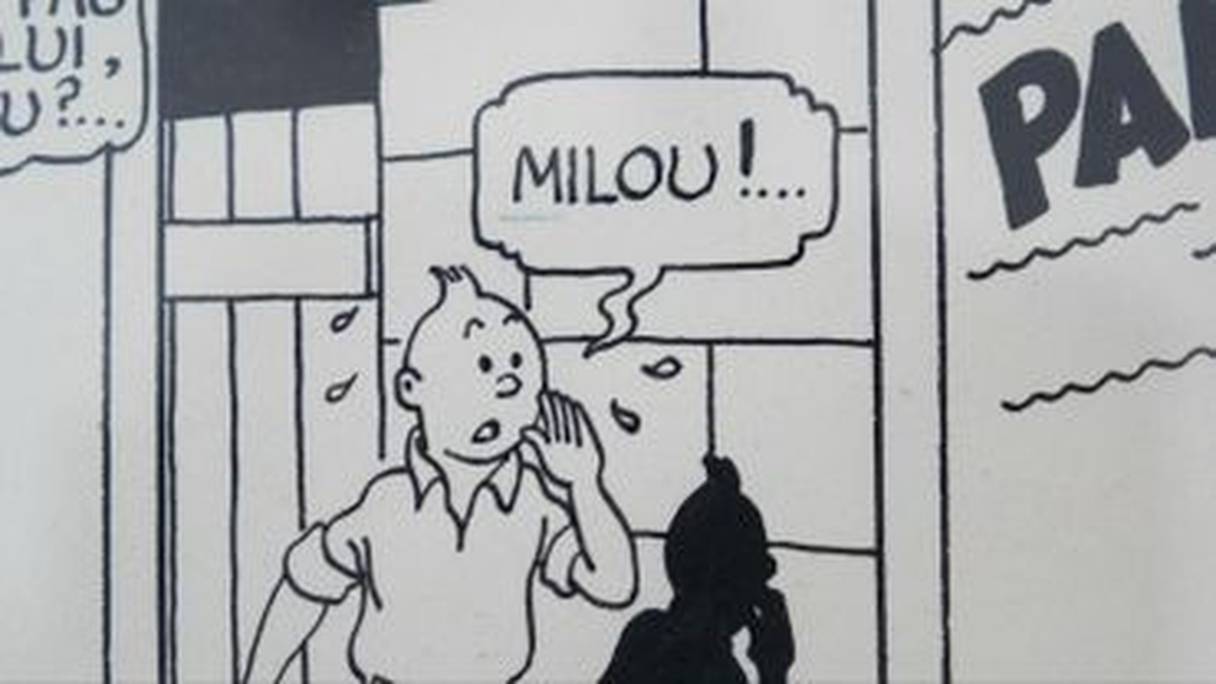 Les deux planches mises aux enchères à Paris, issues de deux albums d'Hergé, ont été dessinées en 1938 (pour Le Sceptre d'Ottokar) et en 1935 (pour L'Etoile mystérieuse). 
