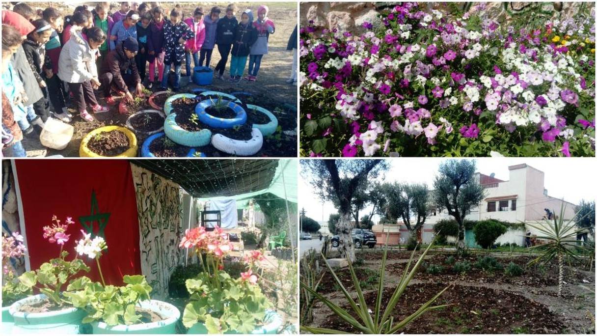 Quelques initiatives de l'association "le futur est vert" à Sidi Kacem
